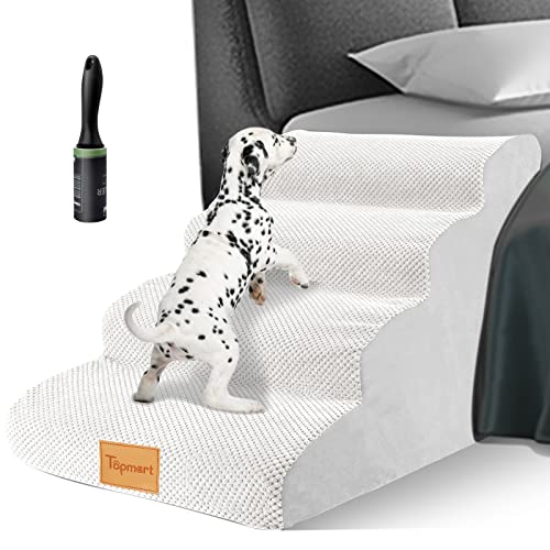 12 Best Dog Ramps For Senior Dogs (Tested)