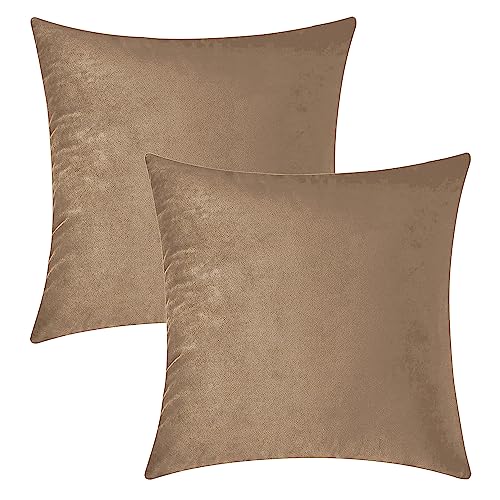 Image of HOKIPO Velvet Cushion Cover 22x22 in / 55x55 cm, Moss Brown, Pack of 2 (IN-579-MBRN-22IN*2)