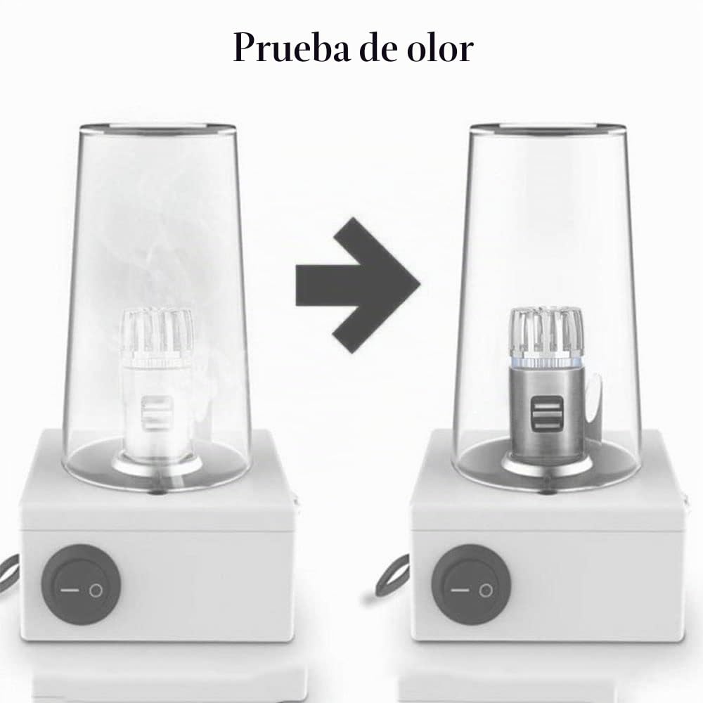 Purificador de aire para coche de iones negativos con cargador dual USB de Baceyong, elimina los olores, el humo del cigarrillo, la contaminación, el polen y el pelo de animales.