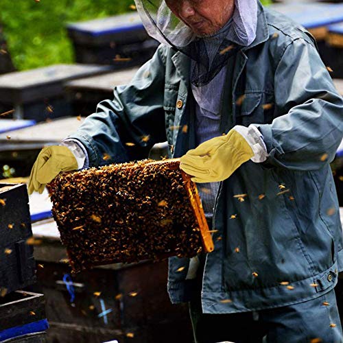 Nuluxi Imkerhandschuhe Bienenzucht Schutzhandschuhe langlebige Imkerei Handschuhe Imkerei Ziegenleder Handschuhe… – Bild 7