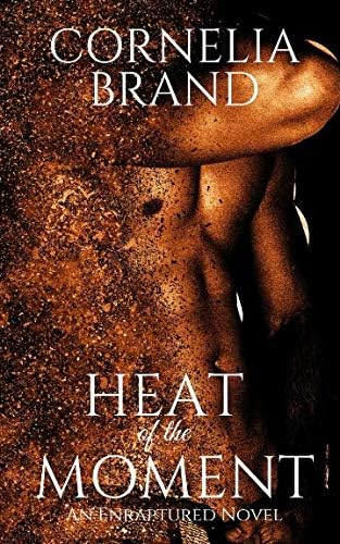 Heat of the Moment: An Enraptured Novel