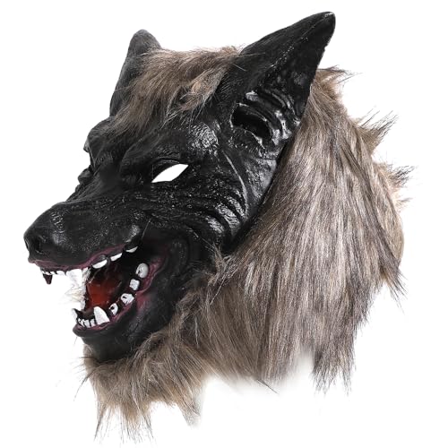 [TKY] Aj}}XN ʔ}XN 蕨  ϑ }XN RXv A nEB (IIJ~)