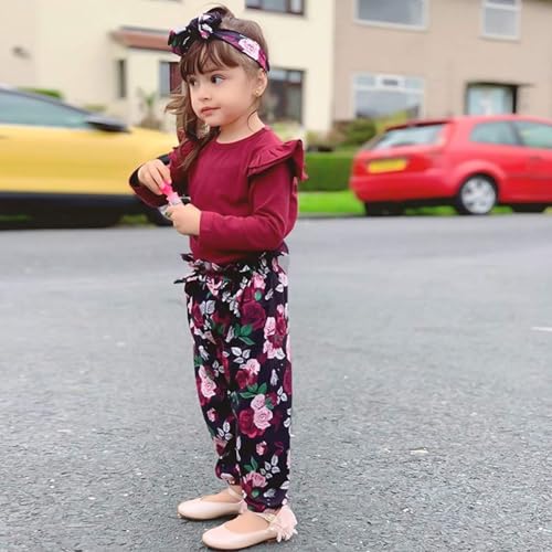 Image of SANMIO Toddler Girl Clothes Cute Ruffle Sleeve Shirt Floral Pants Headband | 3Pcs Fall Winter Outfits Kids Girls Clothing Set 1-6T