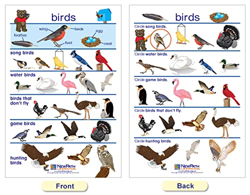 Newpath All About Animals Bulletin Board Charts - English Version, Set/8 - Laminated, Double-Sided, Full-Color, 12" X 18" (94-0222) #TOP4