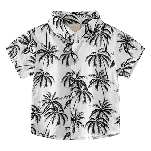 [hvreiop] AnVc LbY   JWA Vc j̎q  z y {^_EVc {[CY nCA vg  q Jbg\[ j 傫TCY K gbvX 킢 IV ʊw ʉ 