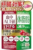 【肝臓対策】 肝機能・体脂肪のWケア 肝臓 サプリ 血中ALT値を下げる 体脂肪の減少をサポート スルフォラファングルコシノレート24mg エラグ酸3mg 60粒 30日分 血中中性脂肪 内臓脂肪 体重 ギムネマ イヌリン サラシア ウコン しじみ 牡蠣エキス オルニチン GABA サプリメント 国内GMP認定工場 新日本ヘルス