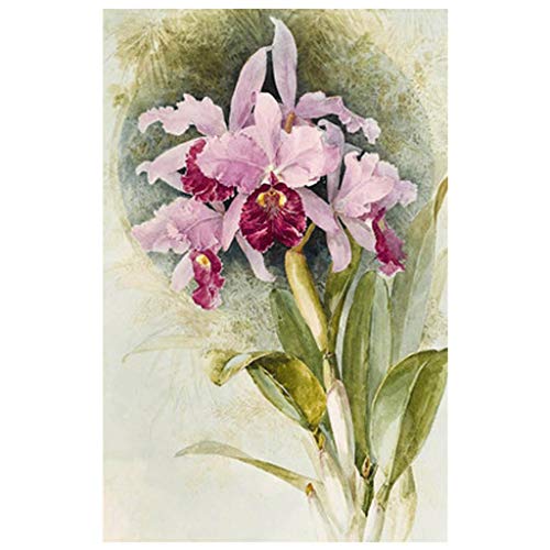 DIY 5D Diamond Painting Kits for Adults Full Drill Embroidery Paintings Rhinestone Pasted