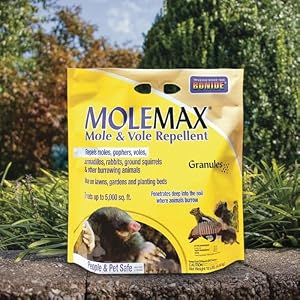 Bonide MOLEMAX Mole & Vole Repellent Granules, 10 lbs. Ready-to-Use, Outdoor Lawn & Garden Mole Control, People & Pet Safe Bonide MOLEMAX Mole & Vole Repellent Granules, 10 lbs. Ready-to-Use, Outdoor Lawn & Garden Mole Control, People & Pet Safe