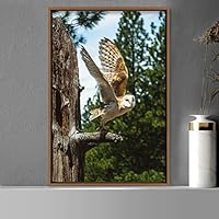 Framed Canvas Wall Art Owl Birds Dramatic Farmhouse/Country Home Office Multicolor Owl Photography - 16x24 inches