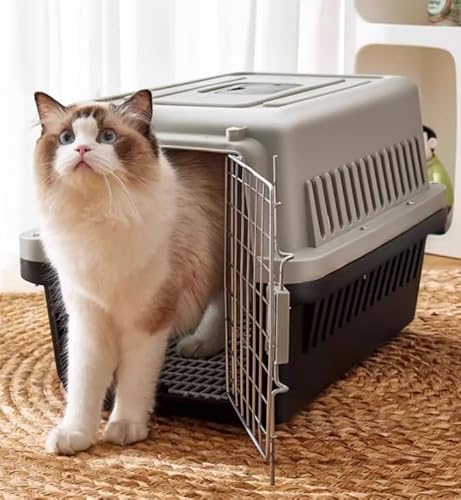 タピパンダ\TAPI PANDA ペットキャリー 犬用 猫用 IATA基準 持ち運びケージ 外出 飛行機 旅行 通院 通気性 避難 小動物用 イヌ 小型犬 組立簡単 クレート m (ブラック, M)