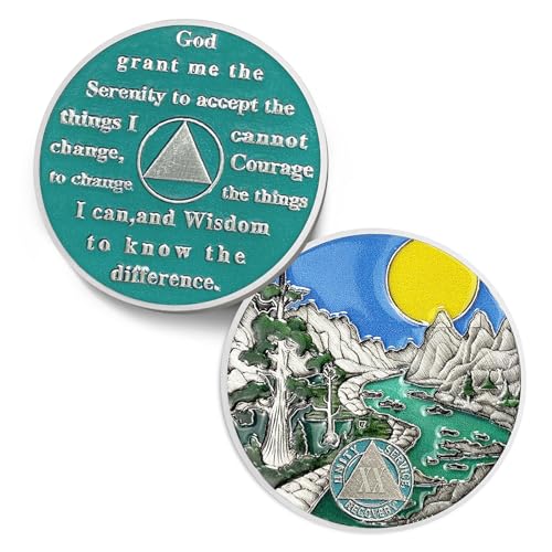 Image of Sunlight 20 Year Sobriety Coin - Recovery 20 Year AA Coins - Serenity Prayer NA AA Chips and Medallions - 1-65 Prime Living Clean Sober Token - Narcotics Alcoholics Anonymous Gifts for Men Women