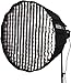Godox Honeycomb Grid for Godox QR-P90 P90L P90H and Aputure Light Dome 35.4 inch 16 Rods Octagon Parabolic Softbox - Only Grid