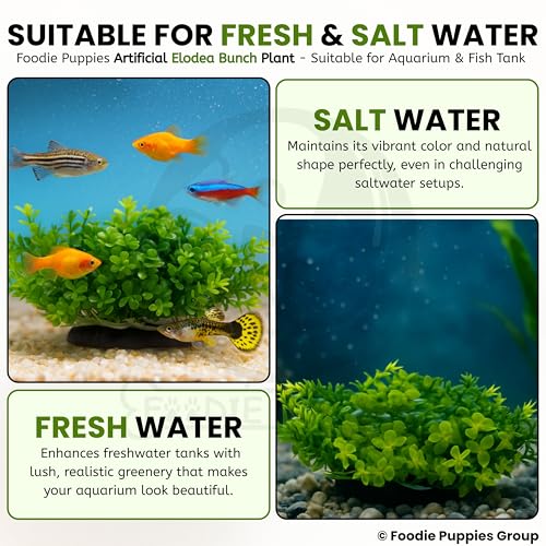 Image of Foodie Puppies Aquarium Plastic Plants with Resin Base - (Elodea Bunch Plant, Set of 2, 5 x 4 x 4 cm) for Fish Tank, Freshwater & Saltwater Natural Decor
