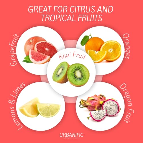 Grapefruit Spoons – Serrated Edge Stainless Steel Spoons to Easily Cut Citrus Fruits like Grapefruit, Oranges & Kiwi – Polished Finish, Dishwasher Safe - 2 Pack