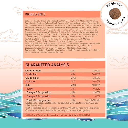Image of Blackwood Bounty Dry Cat Food, Salmon & Rainbow Trout Recipe for All Life Stages, 10 Pound Bag, High Protein, Grain Free