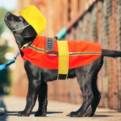 Disfraz para perro HANABASS naranja talla L miniatura 4
