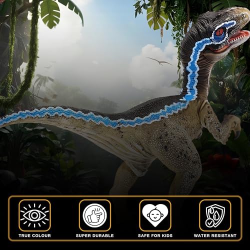 Image of Velociraptor Toy Dinosaur Action Figure, Realistic Veloci Raptor Big Dinosaurs Toys for Kids, Blue Velociraptor Dinosaur Toy for Play and Display, Jurassic Dino Toys for Boys & Girls (Velociraptor)