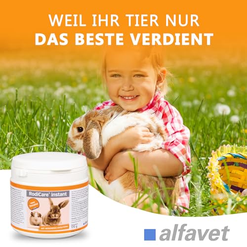 Alfavet RodiCare instant Päppelfutter für geschwächte appetitlose Zwergkaninchen, Meerschweinchen, Kleinnager, Alleinfuttermittel mit gesunden Kräutern, 170 g mit Dosierlöffel