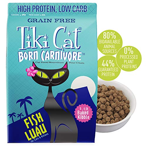 Tiki Cat Food Is As Succulent As It Sounds [Review] Lelu & Bobo
