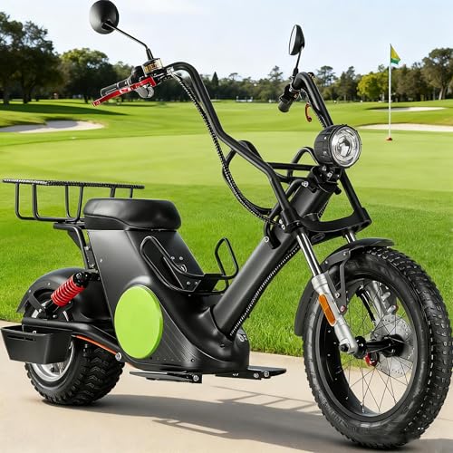 eAhora 2000W M1P/M2 Trike Electric Motorcycle for Adults 60V 30AH/40AH Battery Long Range 55/68Miles Full Suspension 3 Wheels Electric Motorcycle Dual Hydraulic Brake Mopeds