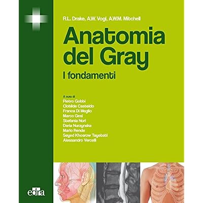 Anatomia del Gray: I fondamenti