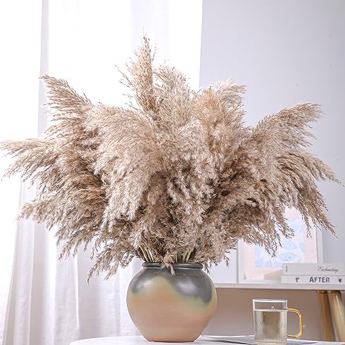 Image of 20 Stems 28 inch Large Brown Pampas Grass - Natural Fluffy Pompas Grass Bulk for Floor Vase - Boho Decor Home Wedding Event Decor, Gift