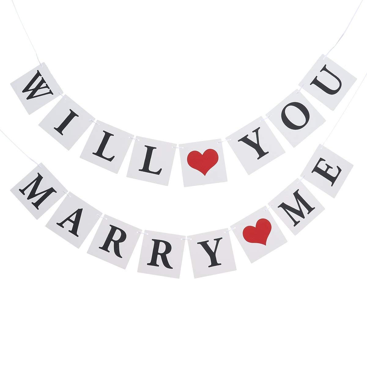 Will You Marry Me Banner