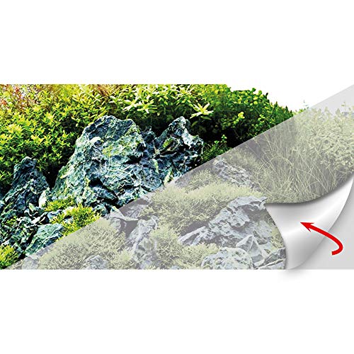 Hobby Frosty Fotorückwandzuschnitt aus Milchglasfolie, selbstklebend, 60 x 30 cm