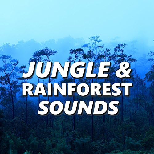 Jungle & Rainforest Sounds Jungle & Rainforest Sounds Digital Music