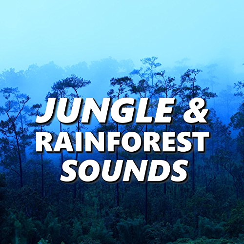 Jungle & Rainforest Sounds