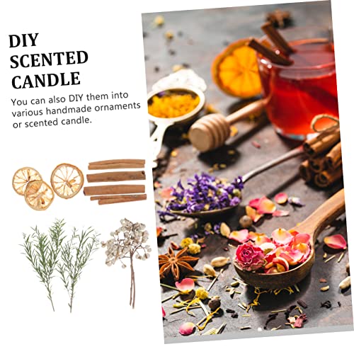 Kit de Flores Secas para Manualidades y Decoración miniatura 3