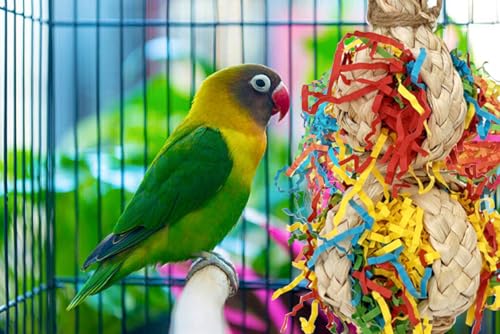Image of 2PCS Bird Foraging Toys, Parrot Shredding Chewing Shredder Hanging Toys, Parakeets Shredded Paper Bird Cage Accessories Toy for Small Parrots, Conures, Love Birds, Cockatiels