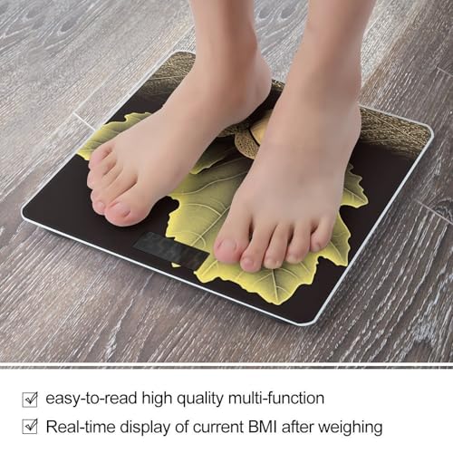 Báscula digital de baño Two Acorns alta precisión miniatura 5