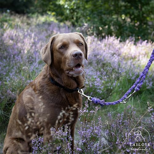 Tailoir Hundeleine 2m geflochten - Leine Hund, Mittelgroße - Große Hunde, Leine verstellbar, Hundeleinen, Dog Leash Führleine, Bissfeste Hundeleine zum Umhängen, Trainingsleine, Freihandleine Paracord
