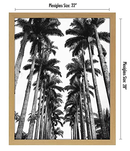 Americanflat 22x28 Poster Frame with Polished Plexiglass - Wide Picture Frames Made of Engineered Wood for Vertical or Horizontal Wall Display - Epic Collection - Pine