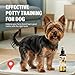 KFQHBQ Potty Training Spray for Dogs, Advanced Dog Spray for Indoor Housebreaking, Dog Pee Spray with Pheromone Attractant, Effective Potty Training Aid for Puppies & Adult Canines, 120ml