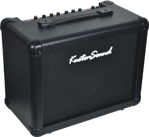 FX30 Guitar Amplifier with DSP Reverb