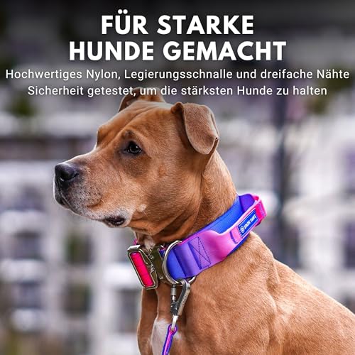Spark Paws Taktisches Hundehalsband – Robuste, Premium-Qualität, Dick und Langlebig für Große und Mittelgroße Hunde M: 23-39kg [3.8cm]
