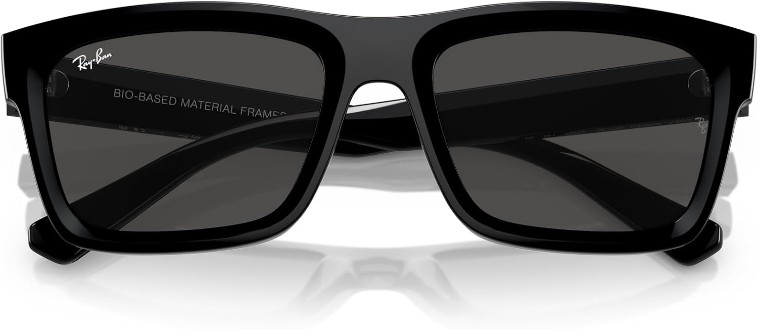 レイバン] サングラス RB4396F WARREN メンズ サングラス カラフル