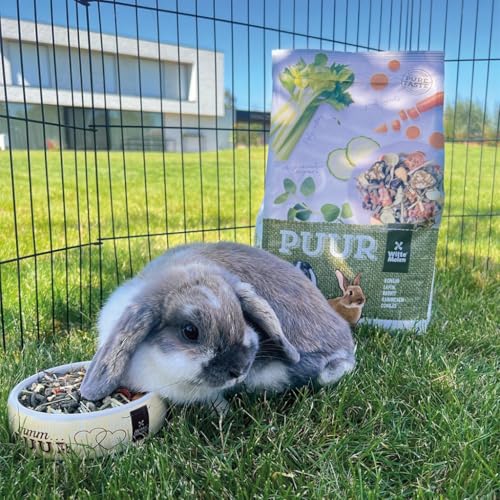 WITTE MOLEN - Alimentación Puur Conejos Enanos Witte Molen - 1833 - 2 Kg.