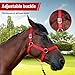 BIGANTTOW Adjustable Horse Halter Rope Halters, Equestrian Horse Riding Headcollar with Satin Hardware, Prevents Rubs, Adjustable Fit Black S