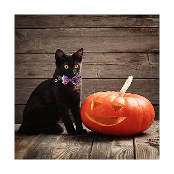 Adoggygo halloween cat collars with bow bell, breakaway cat collar with bowtie pumpkin ghost cat kitten collar for girl boy cats kittens (halloween) - image 5