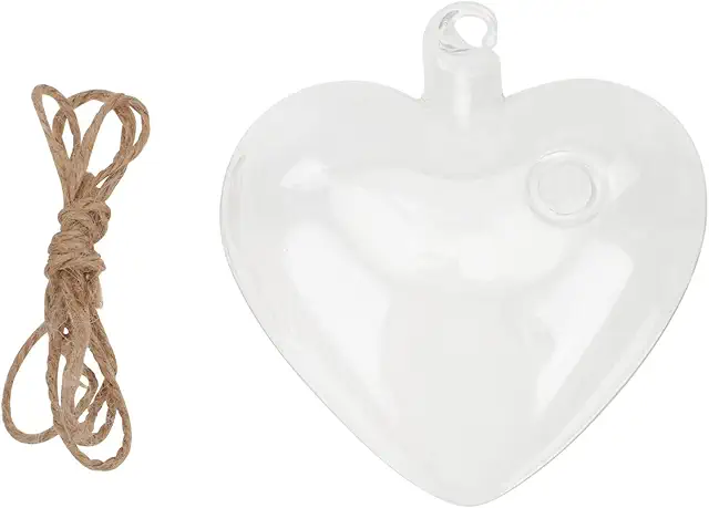 TOPBATHY Vaso d'Amore Terrario Sospeso - Decorazione Idroponica Verde per Piante