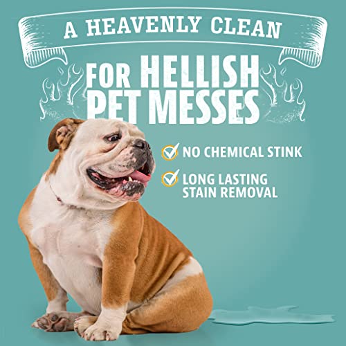 Image of ANGRY ORANGE Pet Stain & Odor Remover for Dog Urine and Stains - Enzyme Pet Odor Eliminator for Home - Citrus - Value 2 pack
