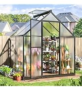 プレーヤー GREENHOUSE Whizmax 6' x 8' Greenhouse, Upgraded Polycarbonate Green