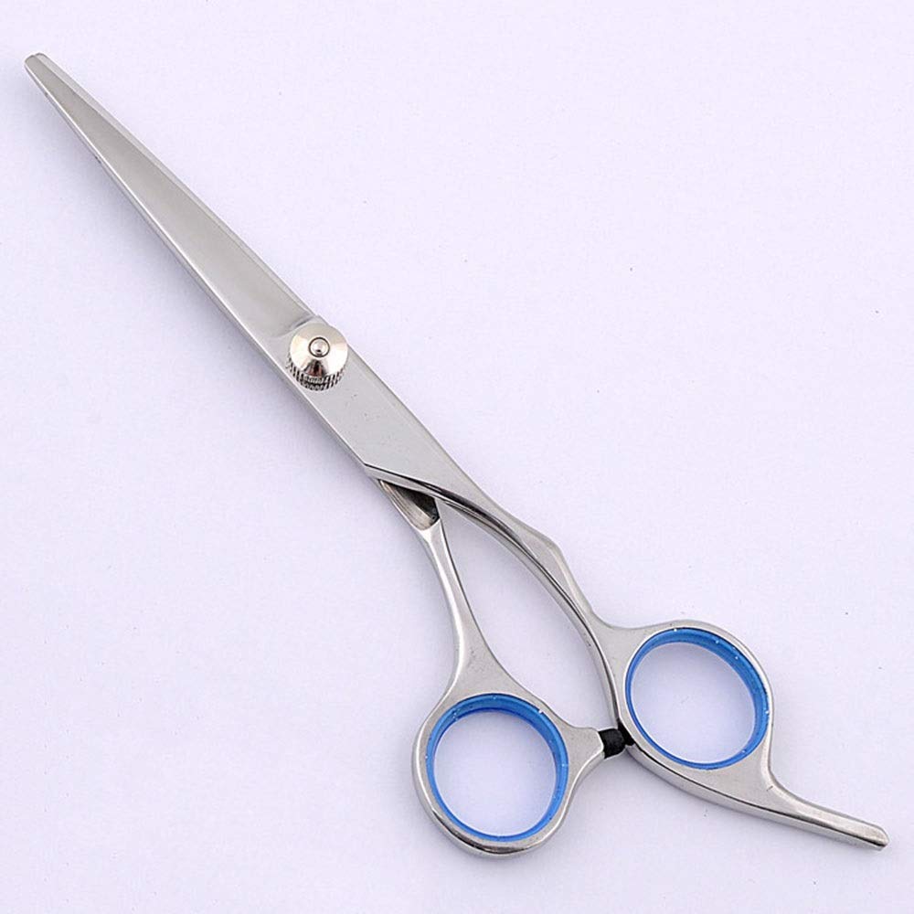 Ciseaux de barbier argentés de 6 pouces avec kit coupe et désépaississement