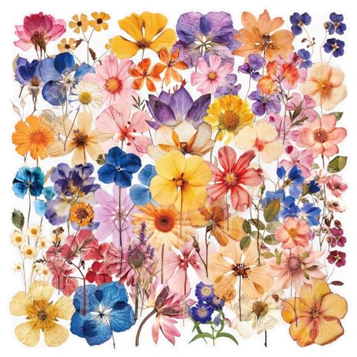 Image of 50PCS Transparent Flora Scrapbook Stickers, Vintage Aesthetic Flowers Sticker for Scrapbooks Travel Journal, Vinyl Waterproof for Water Bottles Laptop Phone Scrapbook Supplies DIY Crafts, (Flower-C)