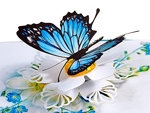 Cutpopup Mother's Day Card Pop Up, Birthday 3D Greeting Card (Butterfly) #TOP6