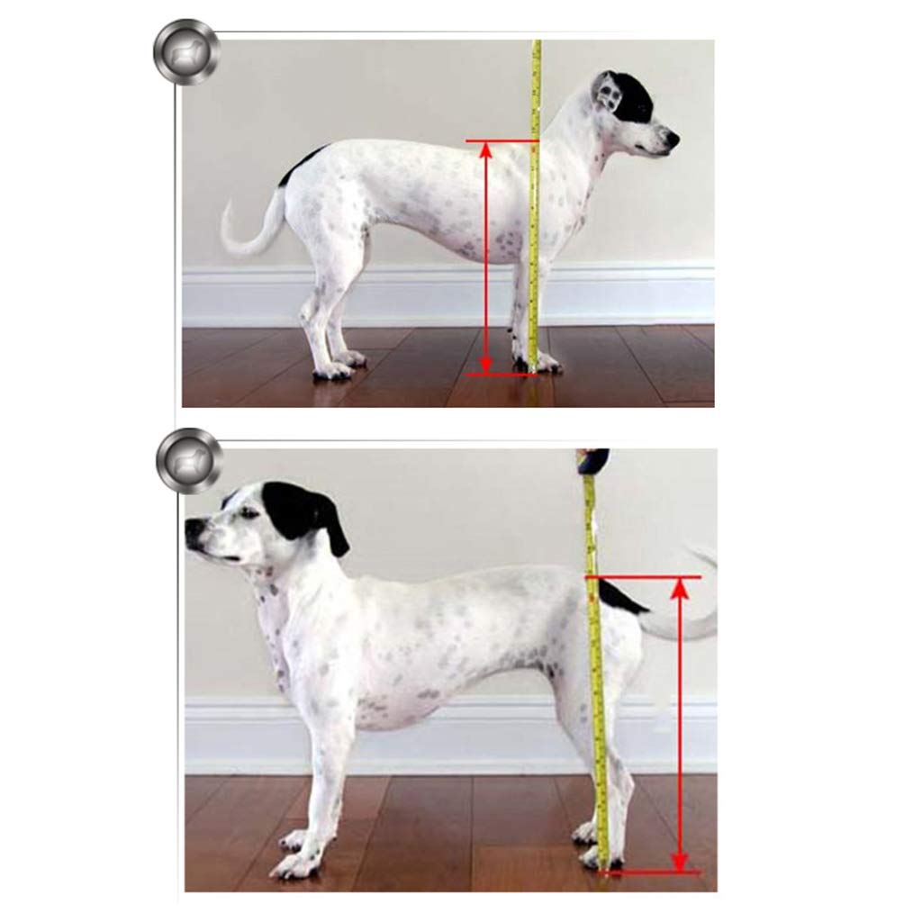 Réglable Fauteuil Roulant pour Chien/Animaux Handicapés，Animaux De Compagnie Poids Léger Facile à Assembler Chariot pour Chien Réadaptation des Pattes Arrière pour Petit Chien(Size:L)