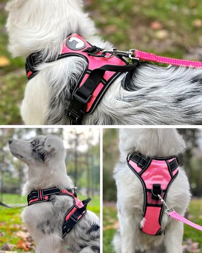 Joytale Dog Harness Small Dog No Pull Harness for Dogs with 2 Clips - Image 4